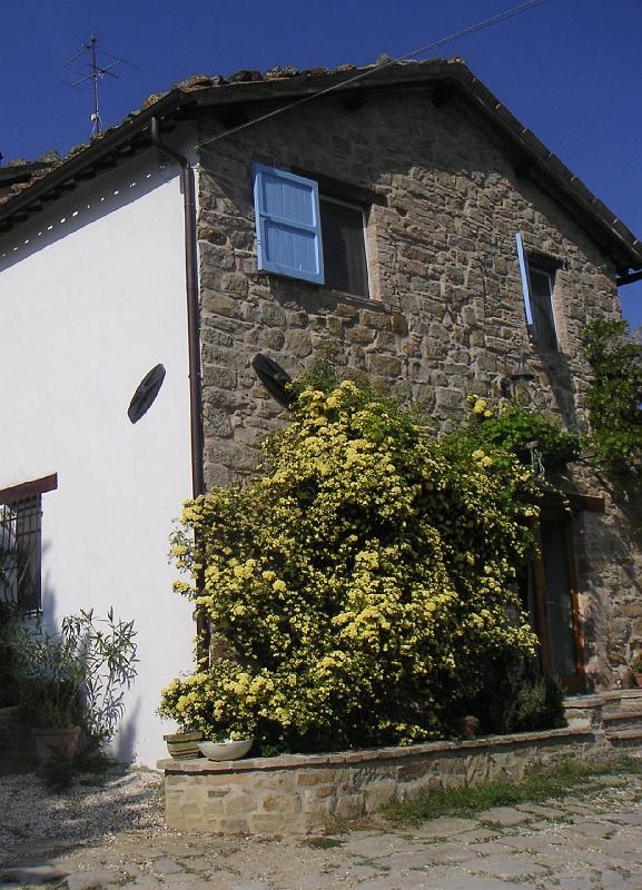 Spring - The Cottage